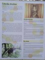 Muzeum včelařstvá v Krapje poblíž Banovci