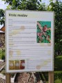 Muzeum včelařstvá v Krapje poblíž Banovci