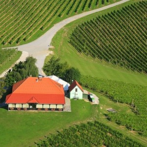 Zastávka ve vinařství Zlati Grič Zastávka ve vinařství Zlati Grič