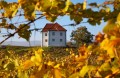Zastávka ve vinařství Zlati Grič