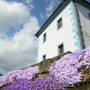 Zastávka ve vinařství Zlati Grič Zastávka ve vinařství Zlati Grič