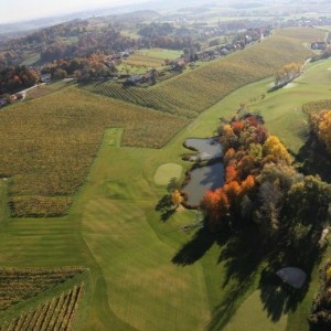 Zastávka ve vinařství Zlati Grič Zastávka ve vinařství Zlati Grič
