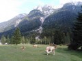 Poznávací zájezd Slovinsko - KRÁSY JULSKÝCH ALP