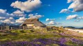 Poznávací zájezd Slovinsko - Kamnik, Ljubljana, Velika Planina, Celje, Arboretum Volčji Potok