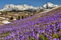 Poznávací zájezd Slovinsko - Kamnik, Ljubljana, Velika Planina, Celje, Arboretum Volčji Potok