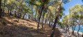 Ostrov Hvar - Resort Fontana 2*
