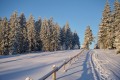 SKI PAKET Rogla - Hotel Planja 4* 