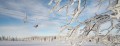 SKI PAKET Rogla - Hotel Planja 4* 