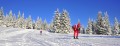 SKI PAKET Rogla - Hotel Planja 4* 