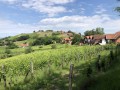 AUTOBUSEM nebo AUTEM - Lázně Lendava - Thermal Resort Lendava 3*