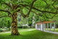 Lázně Dobrna, Hotel Vila Higiea 4* 